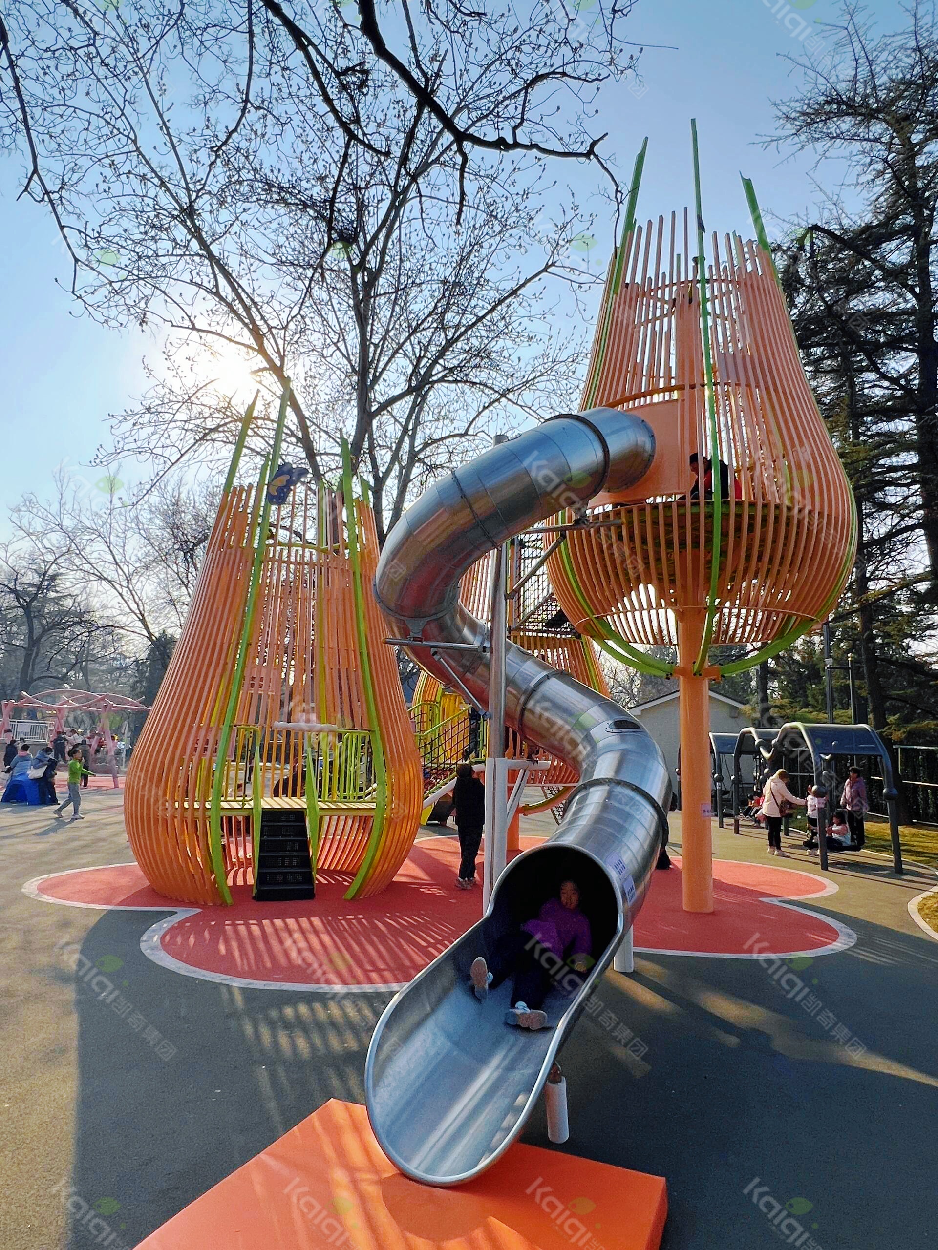 1753081427170729.jpg 1753081427170729.jpg