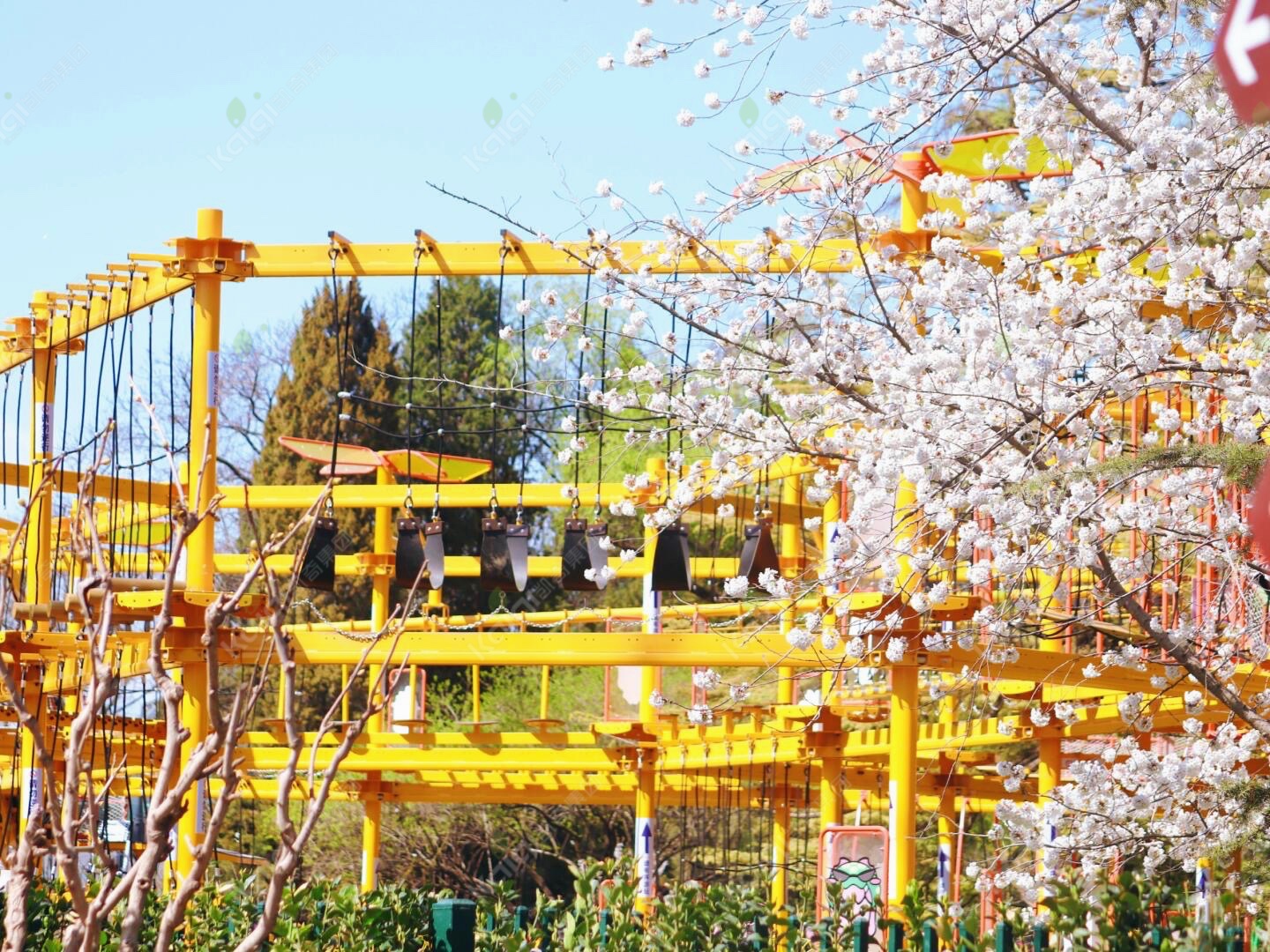 1753081635112794.jpg 1753081635112794.jpg