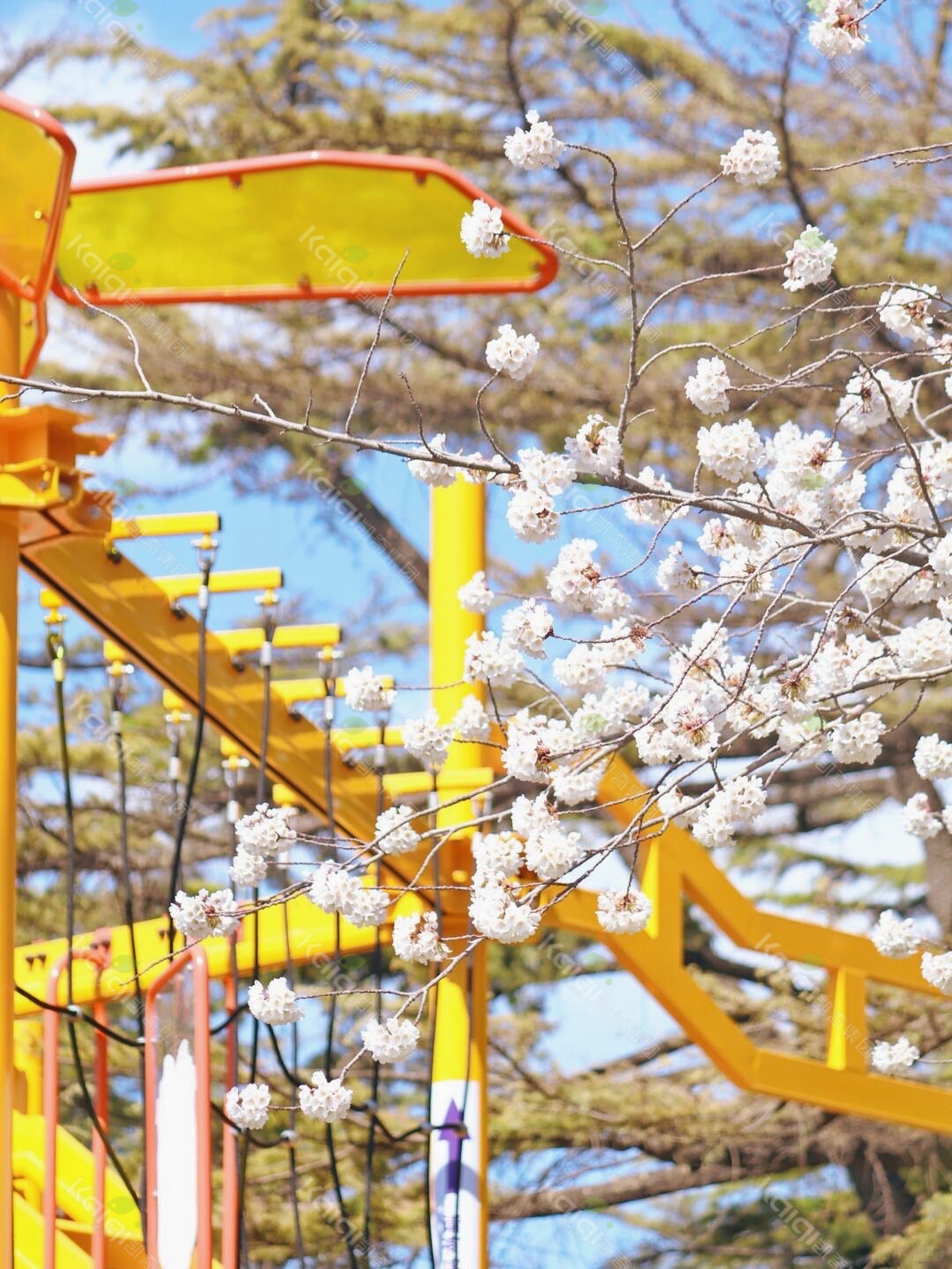 1753081793906919.jpg 1753081793906919.jpg