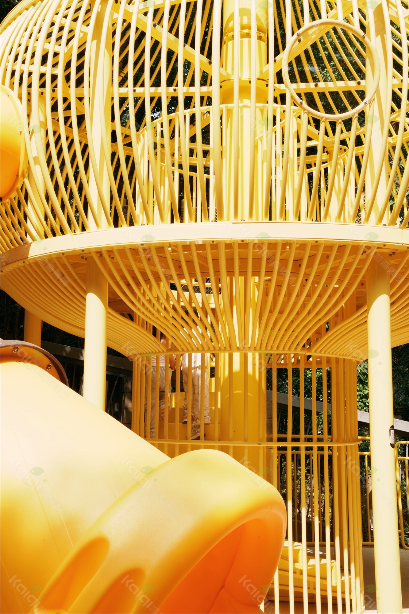 1760499220159785.jpg 1760499220159785.jpg