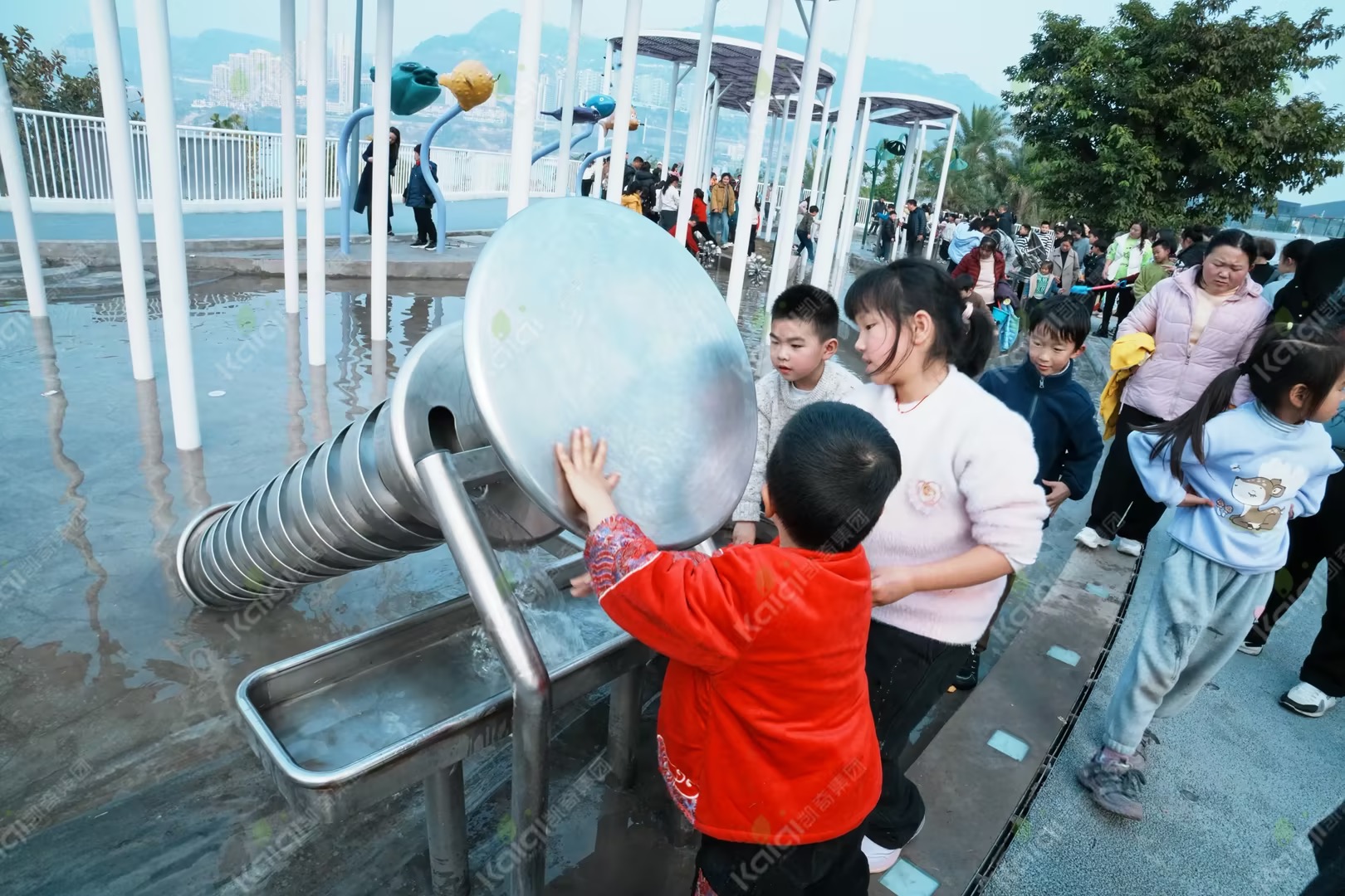 1772087163160933.jpg 1772087163160933.jpg