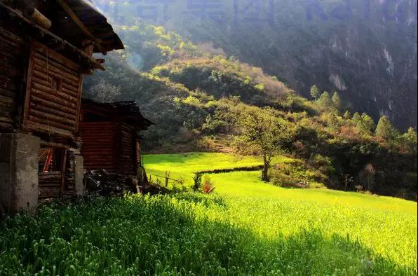 1539246170226863.jpg x05.jpg