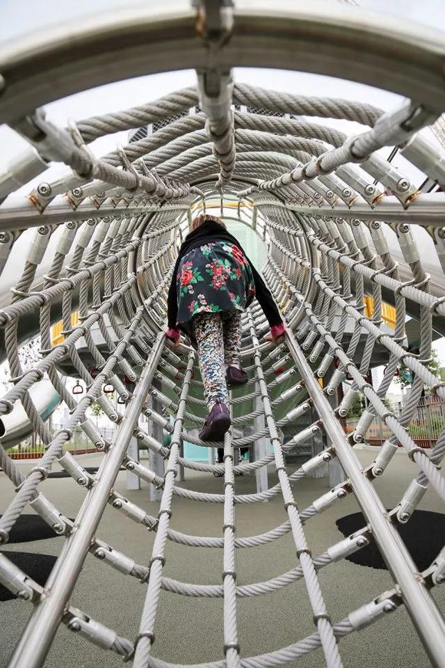 1539246887455620.jpg z13.jpg