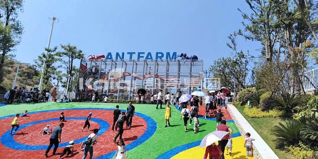 1539935555600852.jpg 1539935555600852.jpg