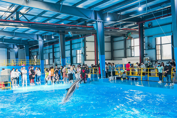 1595235077495166.jpg 7ff7de37ly4gfeyshh81xj20iv0clqan.jpg