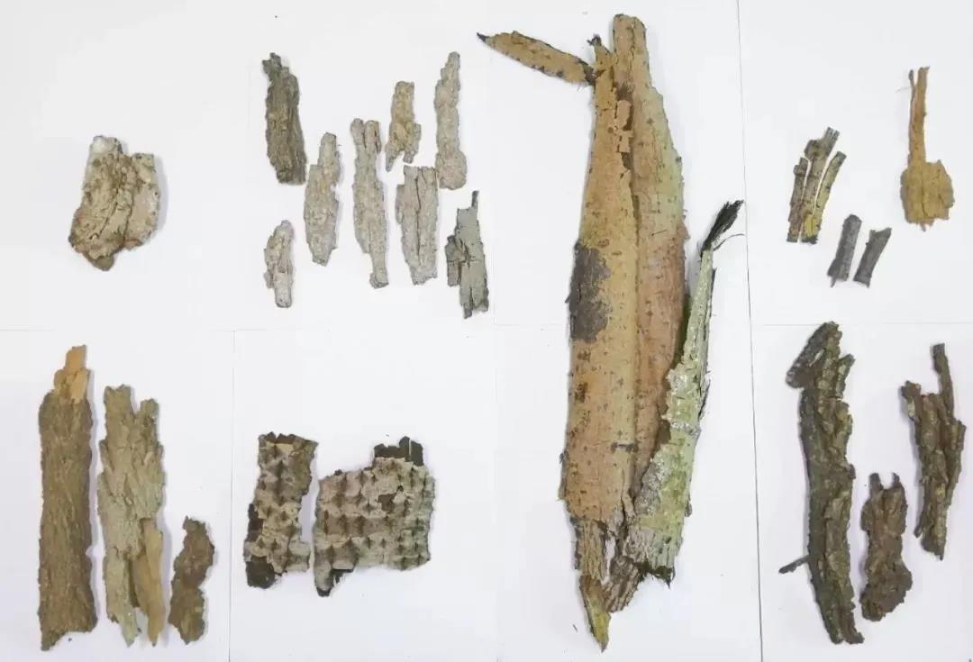 1598511096107265.jpg 1598511096107265.jpg