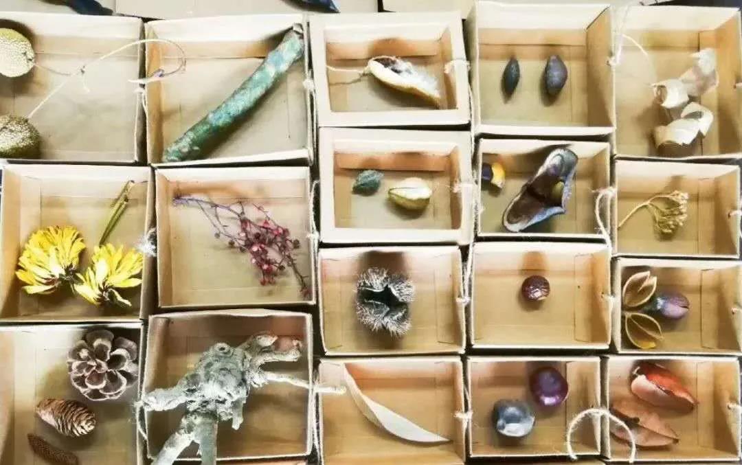 1598511285129091.jpg 1598511285129091.jpg