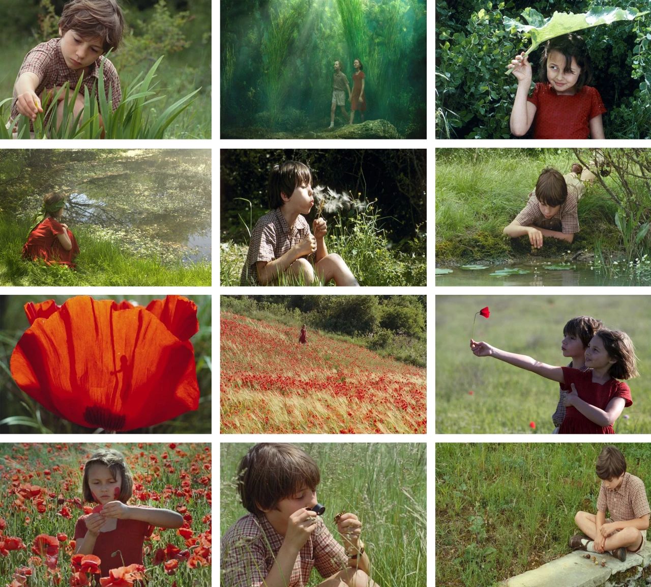 1602746049405746.jpg 微信圖片_20201015150725.jpg