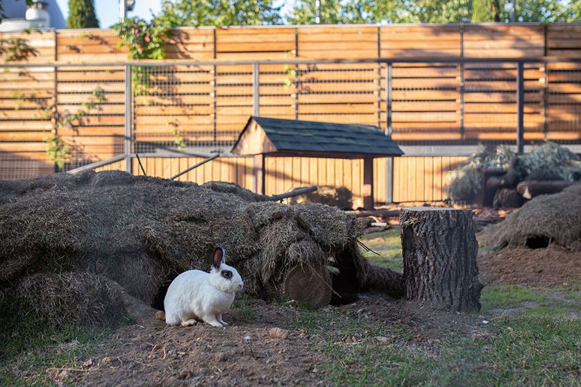 1605843379103246.jpg 1605843379103246.jpg