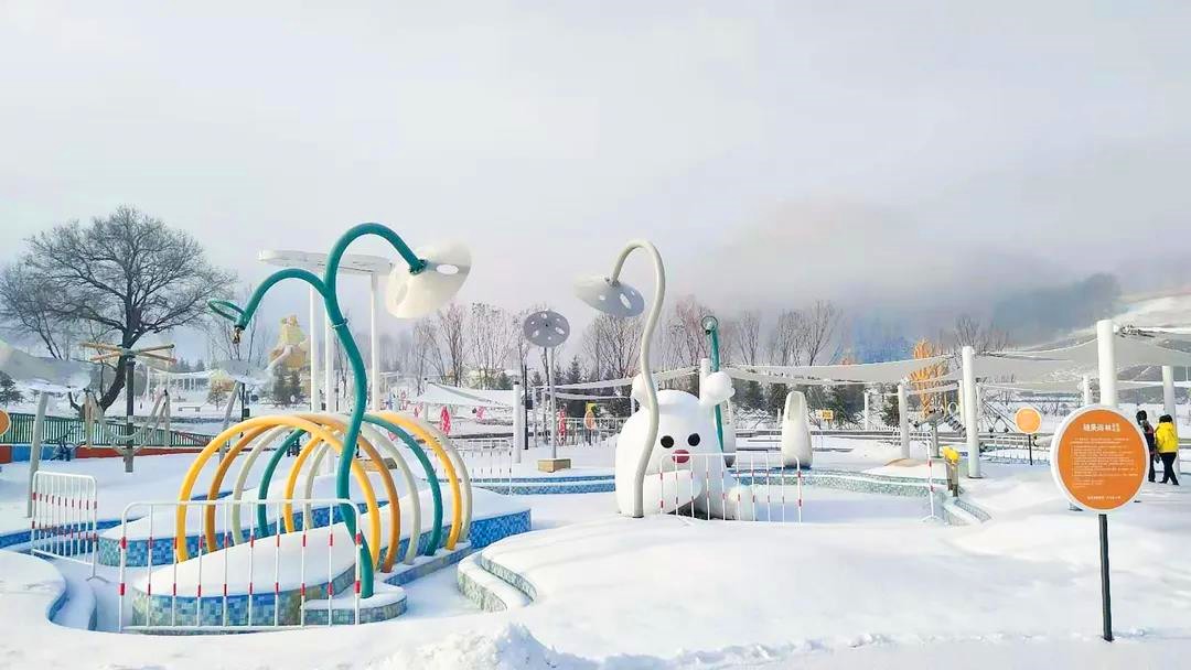 1607585775126900.jpg 1607585775126900.jpg