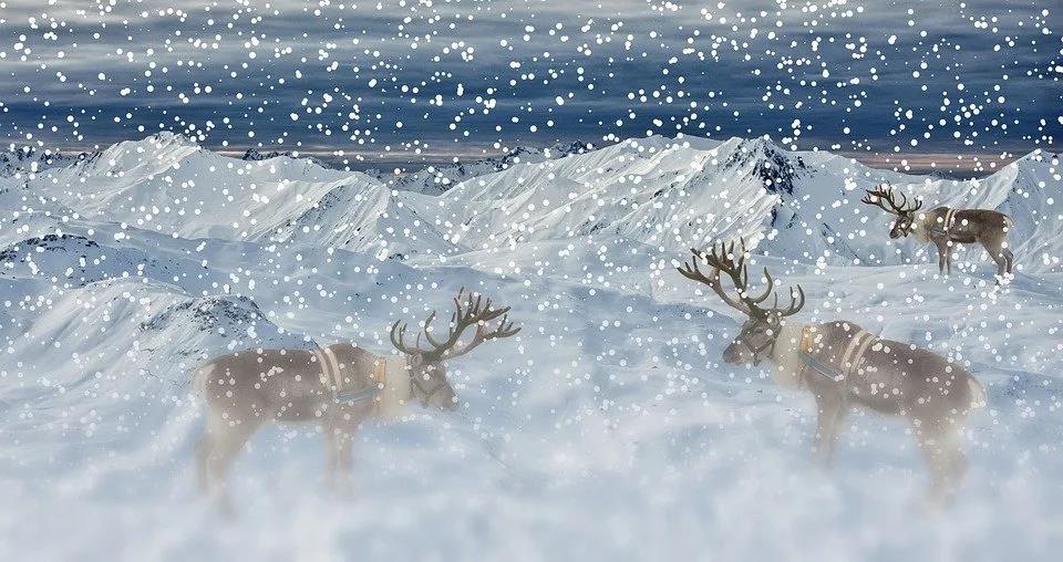 1608537198367577.jpg 1608537198367577.jpg