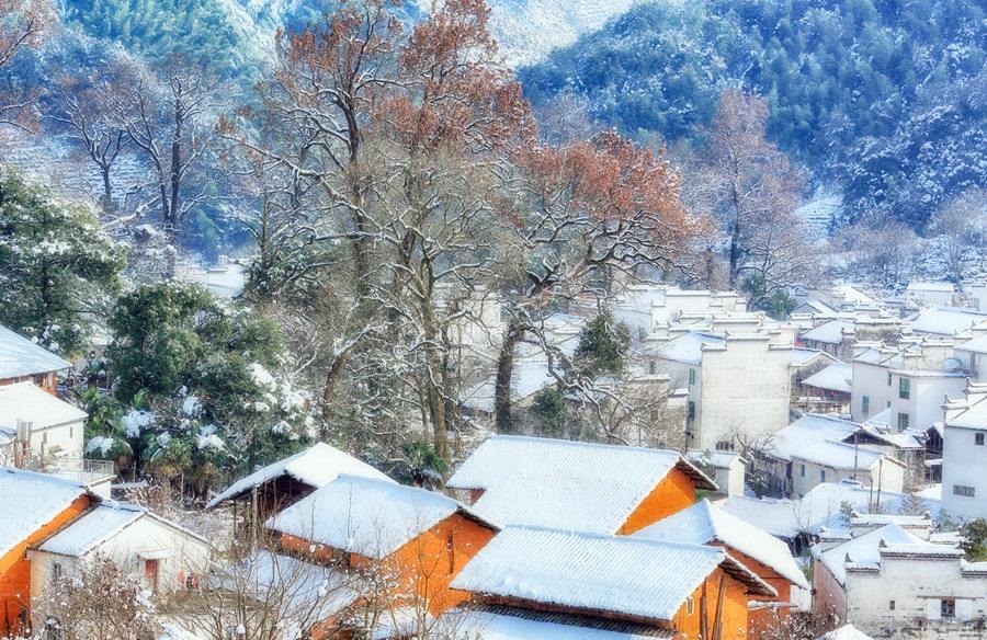 1608537259125424.jpg 1608537259125424.jpg