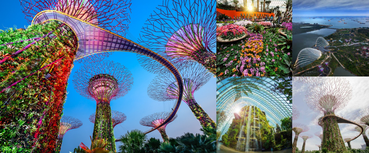 1619508994494865.png 1619508994494865.png