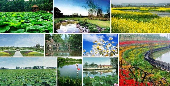 1619509030983921.jpg 1619509030983921.jpg