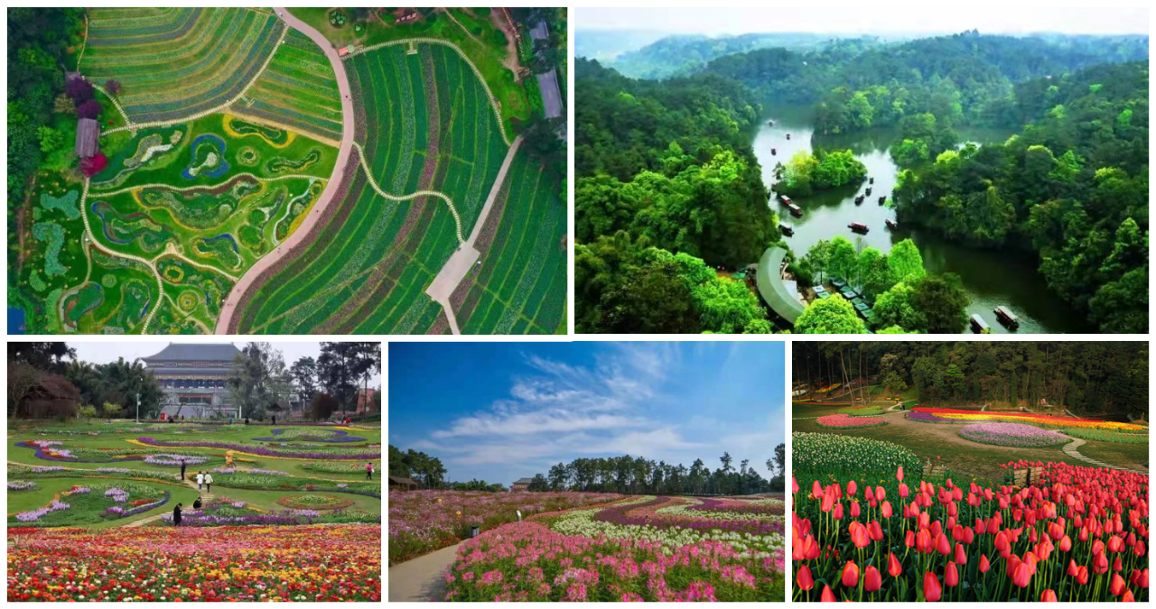 1619509134106073.png 1619509134106073.png