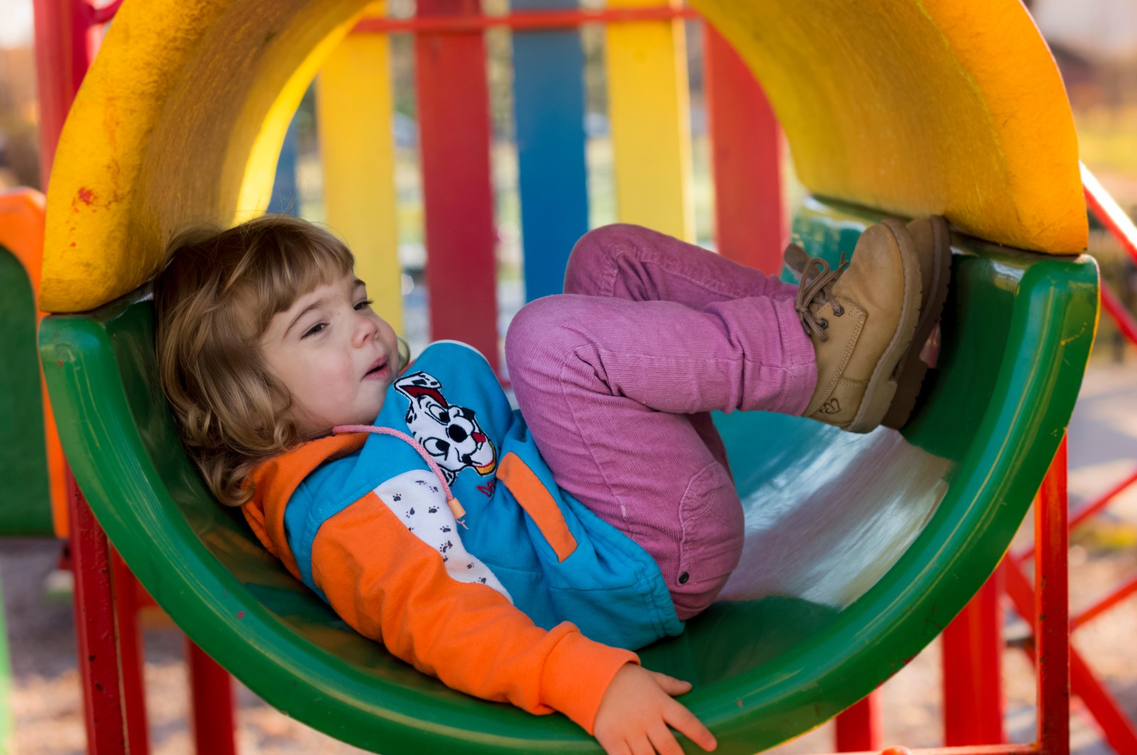 1626402572470079.jpg 1626402572470079.jpg