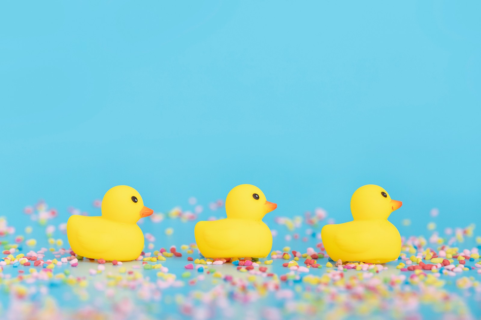 1626402614782748.jpg 1626402614782748.jpg