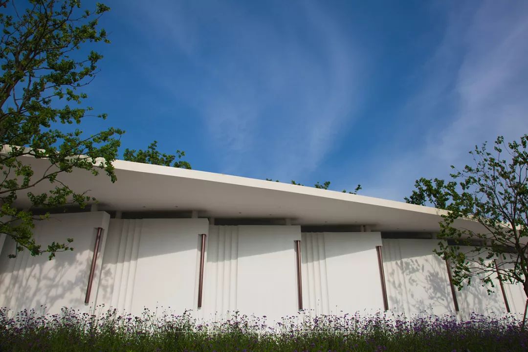 1636514971185897.jpg 1636514971185897.jpg