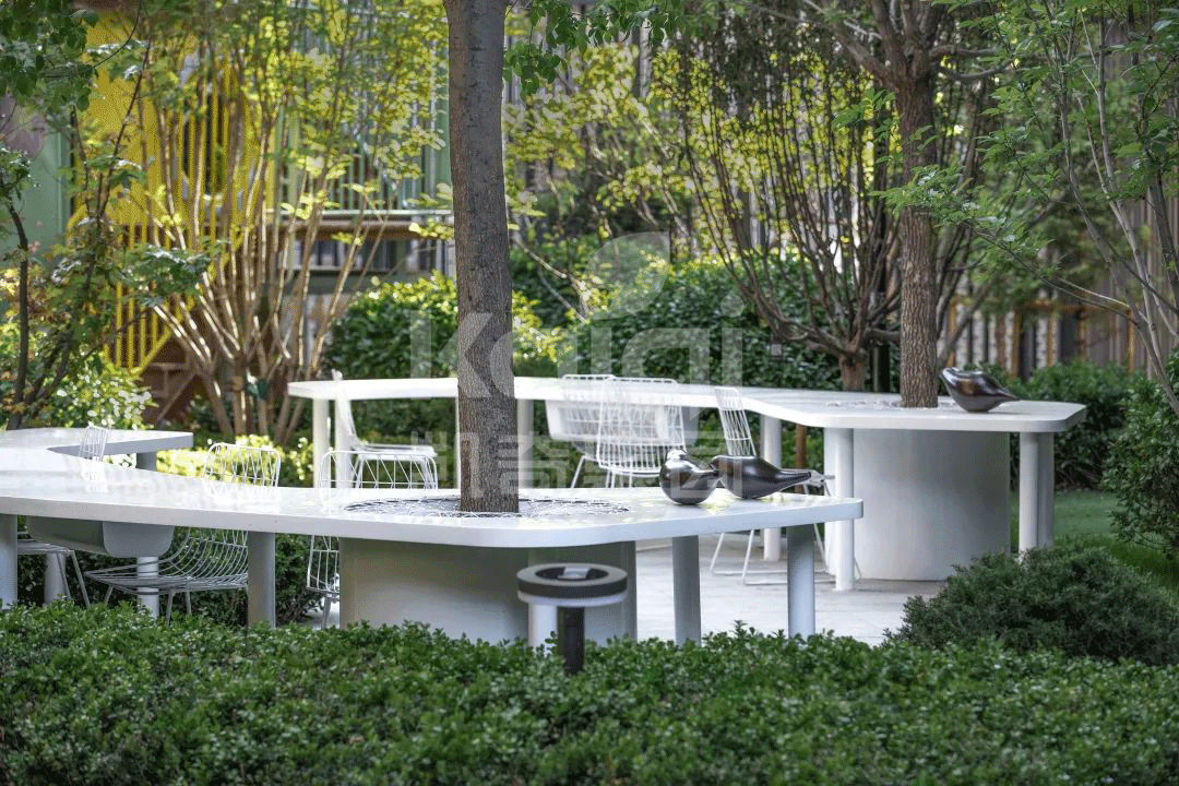 1637135504122825.gif 1637135504122825.gif