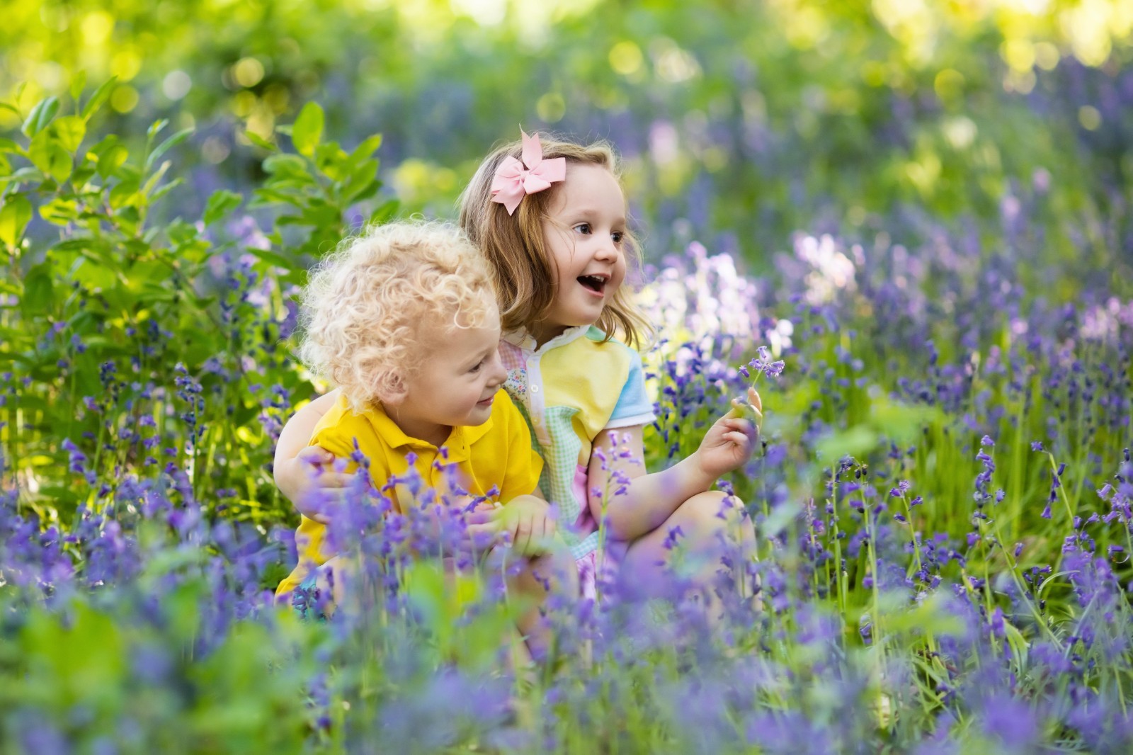 1638350513135386.jpg 1638350513135386.jpg