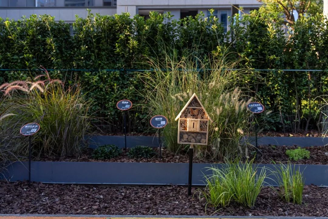 1642062517285903.jpg 14.jpg