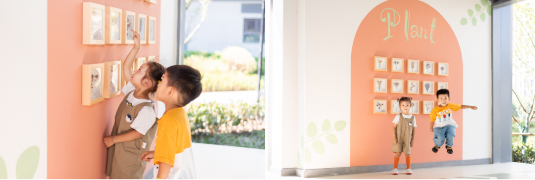 1642062534637085.png 15.png