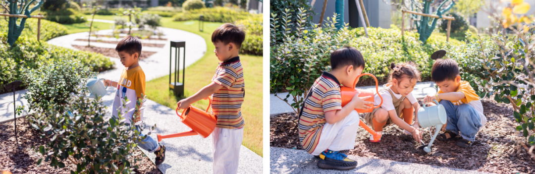 1642062562136195.png 17.png