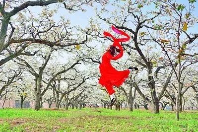 1660017012197386.jpg 1660017012197386.jpg