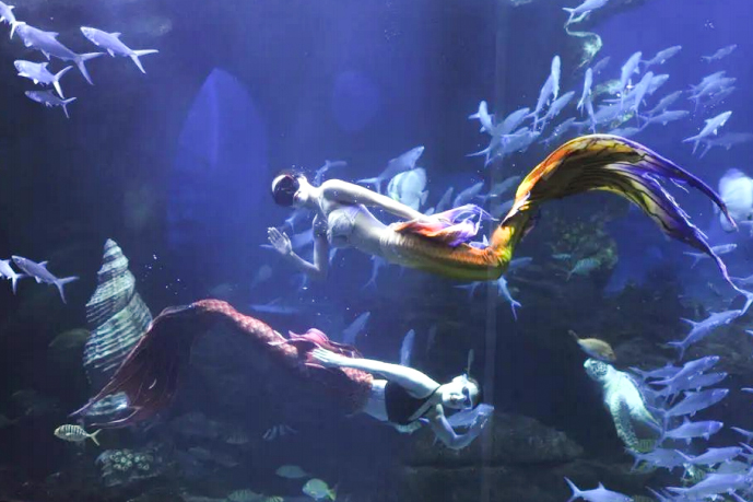 1661500786132305.jpg 1661500786132305.jpg